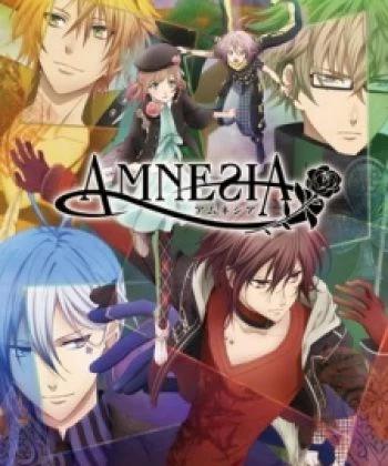 Amnesia 2013