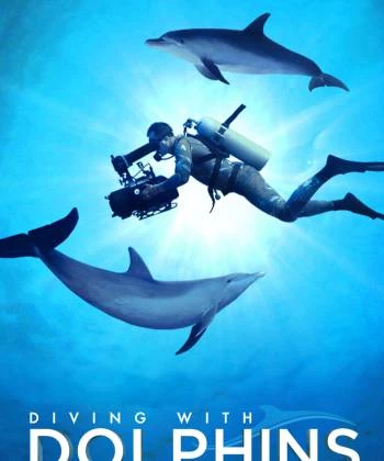 Diving with Dolphins 2020