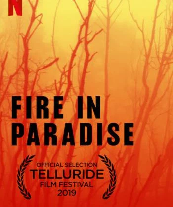 Hỏa hoạn tại Paradise 2019