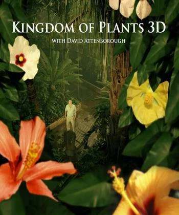 Kingdom of Plants 2012
